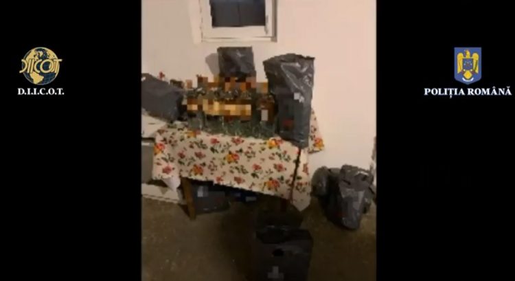 Descinderi în Maramureş. Vizaţi traficanţii de migranţi, droguri şi ţigări – video