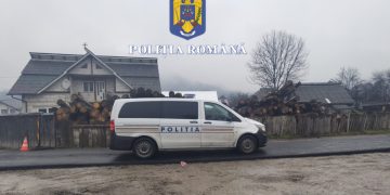 Percheziţii domiciliare în Maramureș și Bistrița-Năsăud. 1.500 mc material lemnos furat, prejudiciu de peste 200 mii lei