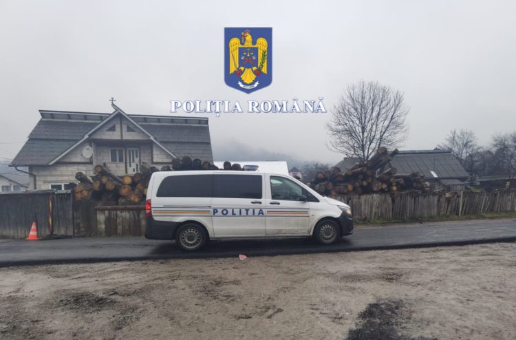 Percheziţii domiciliare în Maramureș și Bistrița-Năsăud. 1.500 mc material lemnos furat, prejudiciu de peste 200 mii lei