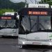 Scandal în autobuz, în Baia Mare. Trei tineri și două femei s-au luat la bătaie pentru că tinerii nu aveau bilet