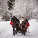 Maramureșenii, invitați să se bucure de o spectaculoasă paradă a colindătorilor la „Crăciun în Maramureș”