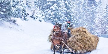Fotograful Sorin Onişor evocă la New York magia iernilor din Maramureş. GALERIE FOTO