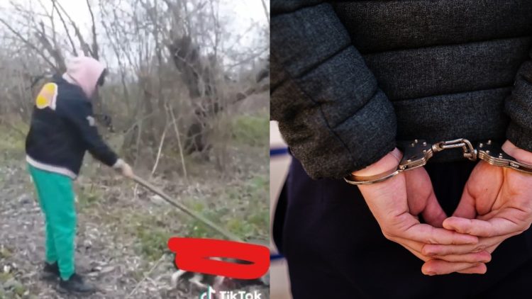 Tânărul din Chelinţa care a ucis cu lopata un câine a fost reţinut. SE FACE DREPTATE