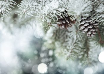 Se schimbă vremea. Prognoza meteo pentru următoarele 2 săptămâni