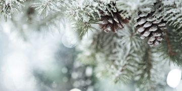 Se schimbă vremea. Prognoza meteo pentru următoarele 2 săptămâni