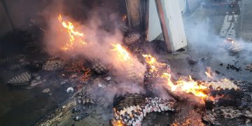 O crescătorie de găini din judeţul vecin s-a făcut scrum. Au ars circa 9.000 de păsări