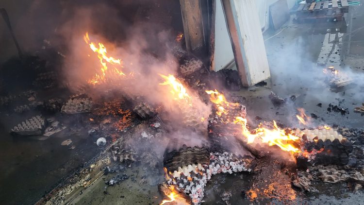 O crescătorie de găini din judeţul vecin s-a făcut scrum. Au ars circa 9.000 de păsări