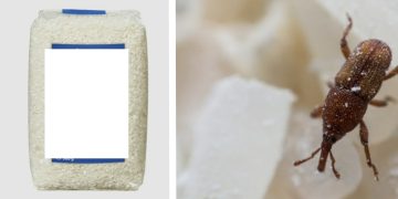 Lămuriri în cazul pachetelor alimentare cu insecte din Comuna Coaș