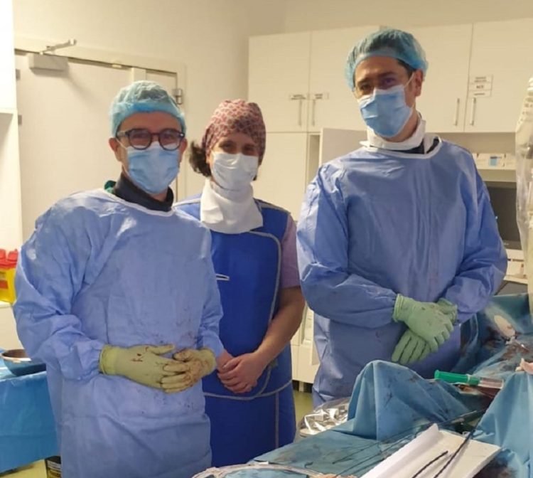 Trei cazuri de patologie aortică abdominală complexă, cu risc vital, rezolvate endovascular cu succes la Spitalul Județean de Urgență Baia Mare