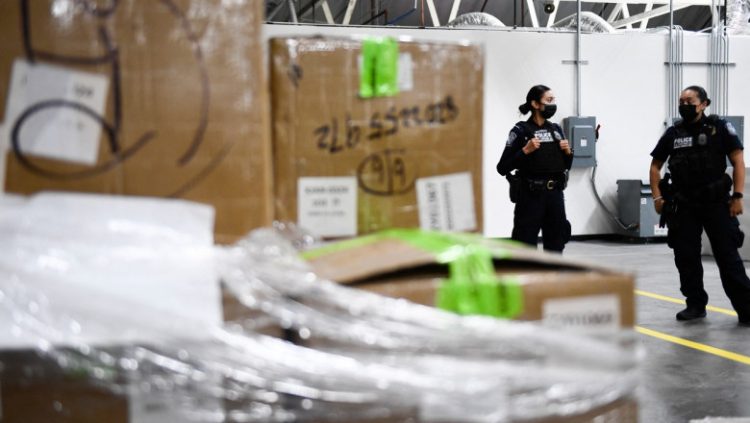 Descoperire macabră în Argentina. Vameșii au găsit capul mumificat al unui copil într-un colet trimis unei vedete din SUA