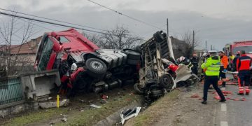 Profesioniștilor, ne omorâți cu zile! 