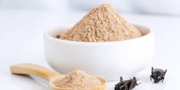 Făina de greieri a apărut în România. Cu cât se vinde?