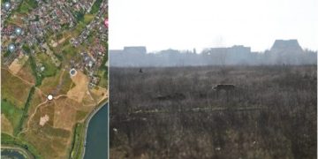 Locul exact unde a fost atacată și ucisă de câini femeia care alerga în apropiere de Lacul Morii