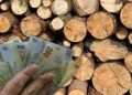 Procedura de obţinere a banilor destinaţi lemnelor de foc