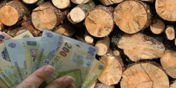 Procedura de obţinere a banilor destinaţi lemnelor de foc