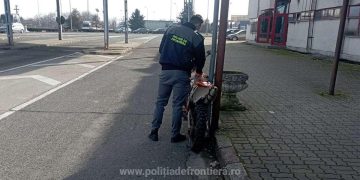 Un maramureşean a vrut să aducă în ţară o motocicletă care figura ca furată din Belgia. Vehiculul a fost confiscat de poliţiştii de frontieră