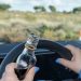 Depistată la volan cu o alcoolemie de 1,29 mg/l alcool pur în aerul expirat. Pe bancheta din spate a maşinii se afla un copil de 7 ani