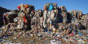 Întâlnire de gradul zero la rampa de deșeuri de la Satu Nou de Jos