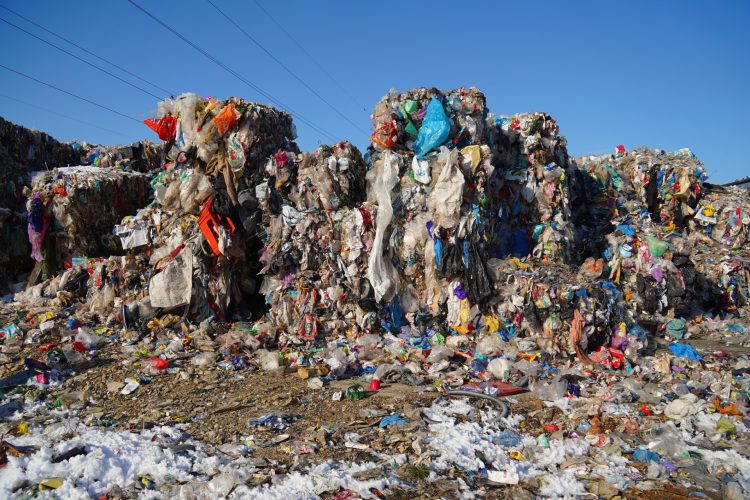 Întâlnire de gradul zero la rampa de deșeuri de la Satu Nou de Jos
