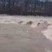 Coduri hidrologice prelungite până mâine, 20 februarie. Râul Lăpuș este învolburat
