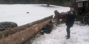 ACCIDENTE DRAMATICE: Doi maramureșeni care exploatau lemne au decedat
