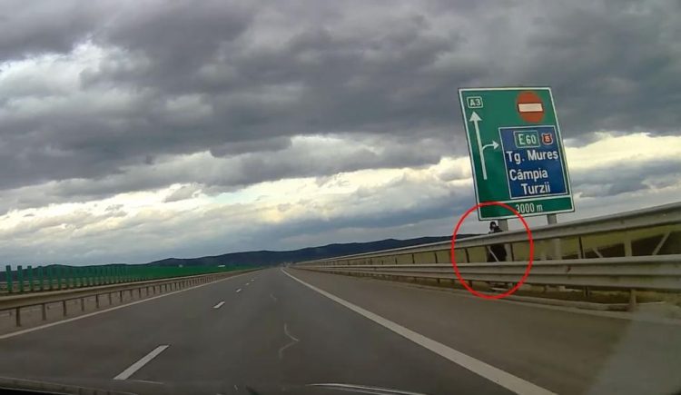 LA VÂNĂTOARE: Unde stătea un polițist cu aparatul radar