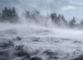 Avertizare meteo ANM de viscol şi vânt puternic. COD PORTOCALIU în Maramureş