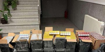 O altă captură IMPRESIONANTĂ: Țigări în valoare de peste 52.000 lei, confiscate la frontiera de nord. VIDEO