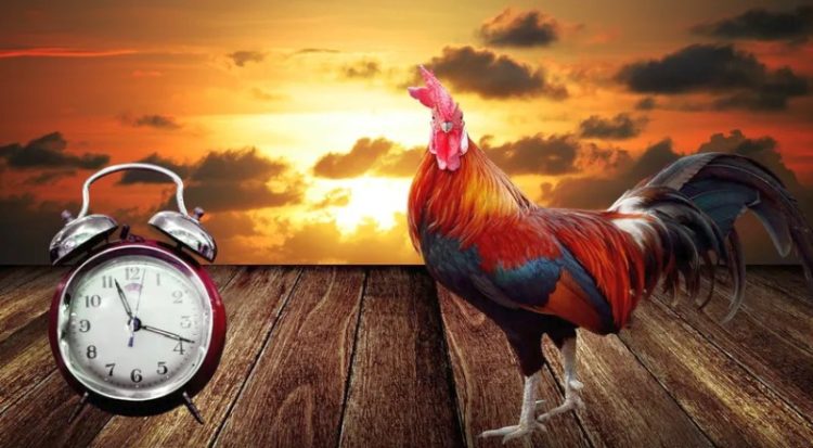 A sosit vremea! În această noapte România trece la ora de vară!