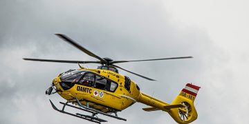 Muncitor român în Austria, strivit de un copac la locul de muncă