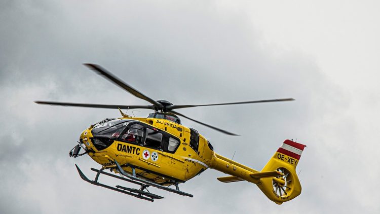 Muncitor român în Austria, strivit de un copac la locul de muncă