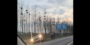 Accident în Baia Mare. Trafic aglomerat în zona „Clubul Văcarilor”