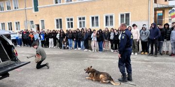 Elevi din Moisei şi Borşa au petrecut o zi de neuitat în compania câinelui polițist Athos