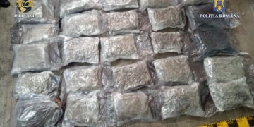 Descinderi la dealerii de droguri din Maramureş şi Bistriţa-Năsăud. Zeci de kilograme de canabis, ascunse în trolere – video