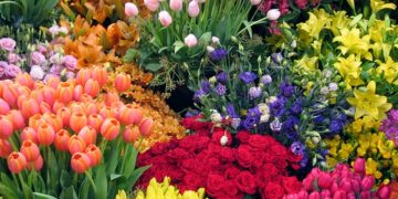 Controale la comercianţii de flori din Baia Mare. Poliţiştii Serviciului de Investigare a Criminalității Economice au aplicat sancțiuni de 16.000 de lei