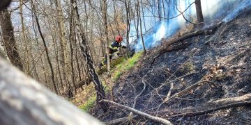 Bilanţul incendiului de pe Dealul Crucii: au ars şase hectare de vegetație uscată și litieră