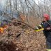 A luat foc Dealul Crucii. 29 de pompieri intervin pentru stingerea flăcărilor – foto