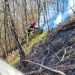 Bilanţul incendiului de pe Dealul Crucii: au ars şase hectare de vegetație uscată și litieră
