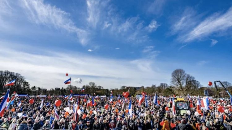 Partidul fermierilor a câștigat alegerile regionale și cele mai multe locuri în Senatul Olandei, depășind partidul premierului Rutte