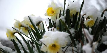 ANM anunță o răcire accentuată a vremii – Minimele ajung la -5 grade Celsius