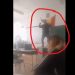 EDITORIAL: Cu profesori care dansează pe catedră e normal să nu avem lideri