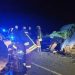 Accident rutier violent în Italia. Doi tineri români, soț și soție, au murit pe loc într-un impact frontal