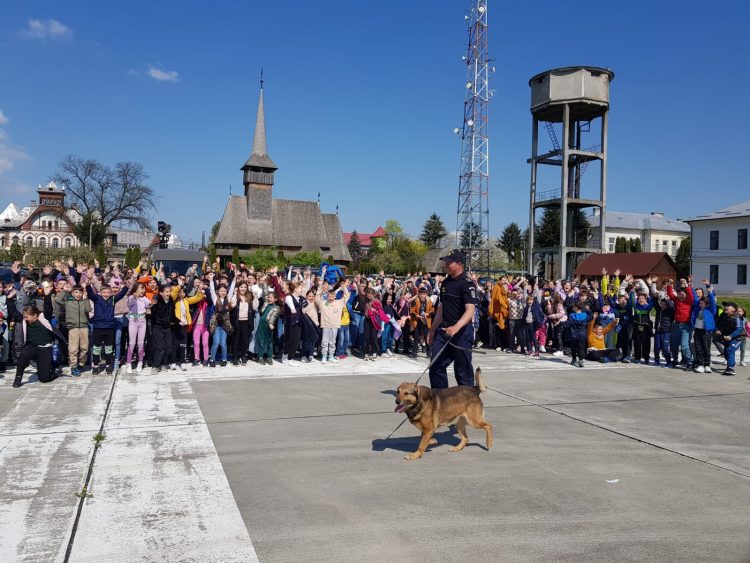 Peste 400 de copii în vizită la Poliția de Frontieră Sighetu Marmației. Exercițiile câinelui de intervenție Athos au uimit publicul