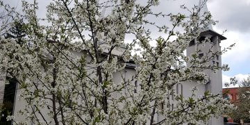 Programul liturgic pentru Săptămâna Patimilor la Biserica Militară  ,,Sfântul Mare Mucenic Gheorghe” 