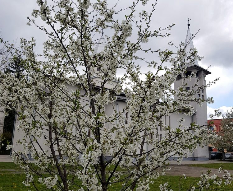 Programul liturgic pentru Săptămâna Patimilor la Biserica Militară  ,,Sfântul Mare Mucenic Gheorghe” 