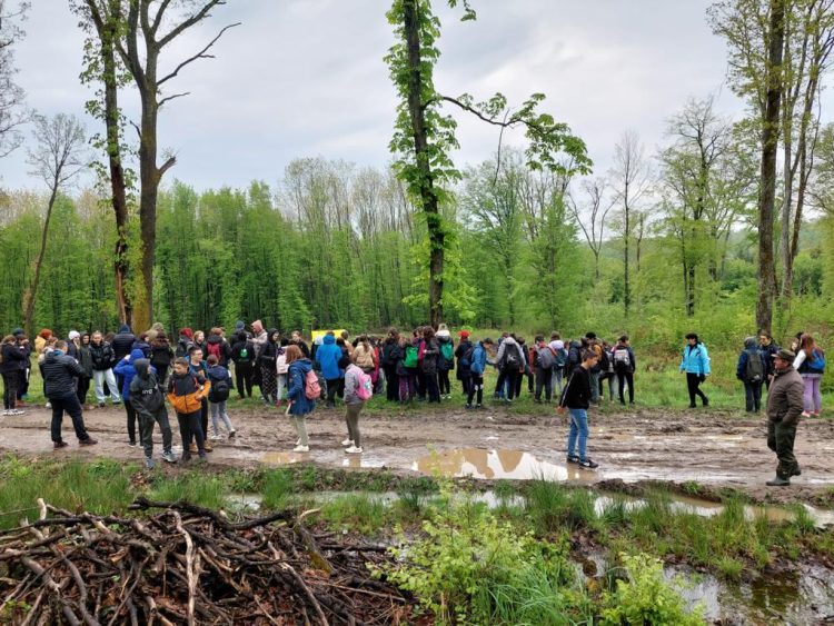 Educație nonformală pentru comunități sustenabile: Plantare de arbori în Asuaju de Sus