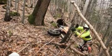 Un urs surprins în bârlog a atacat un motociclist enduro. VIDEO