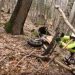 Un urs surprins în bârlog a atacat un motociclist enduro. VIDEO