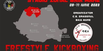 În Baia Mare are loc stagiul zonal de Freestyle Kickboxing