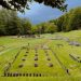 A fost redeschis șantierul de restaurare a fortificaţiei dacice de la cetatea Sarmizegetusa Regia